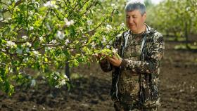 Выпускник Ульяновского ГАУ разбил плодовый сад и развивает агротуризм